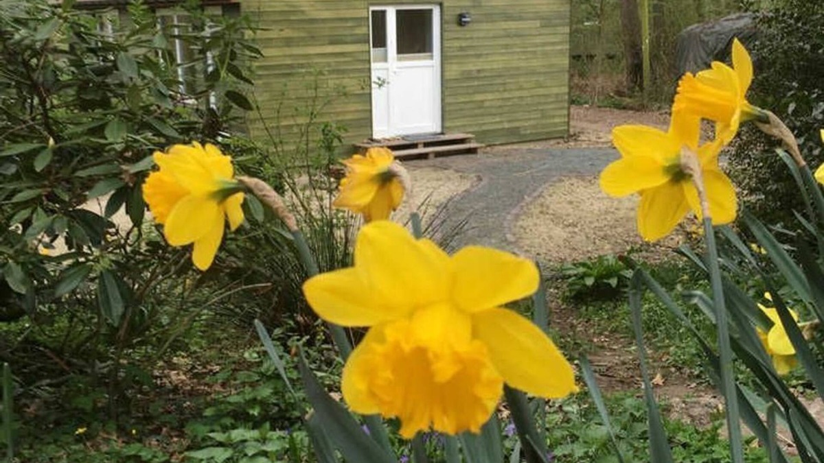 Viehland Apartment | Semi-detached house FeWo 1 - holiday homes Ohlenbusch