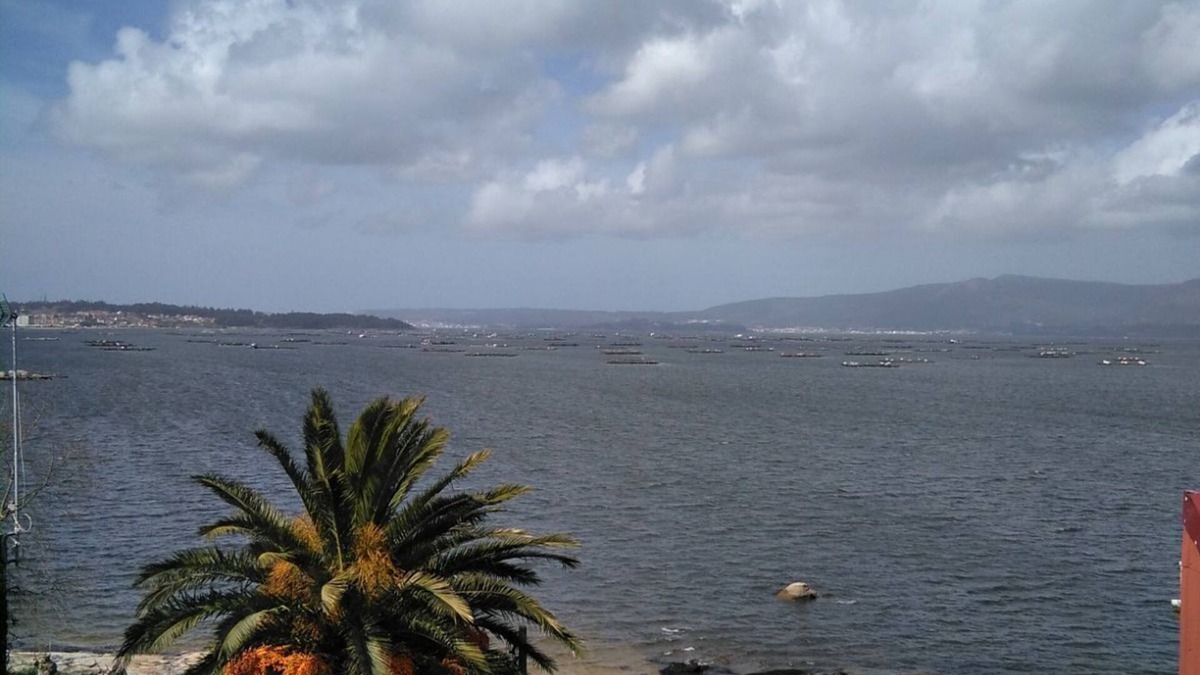 Vilanova Condo | semi new apartment on the beach