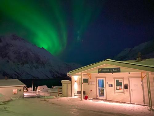 Torsken Other | Senja Fjordcamp