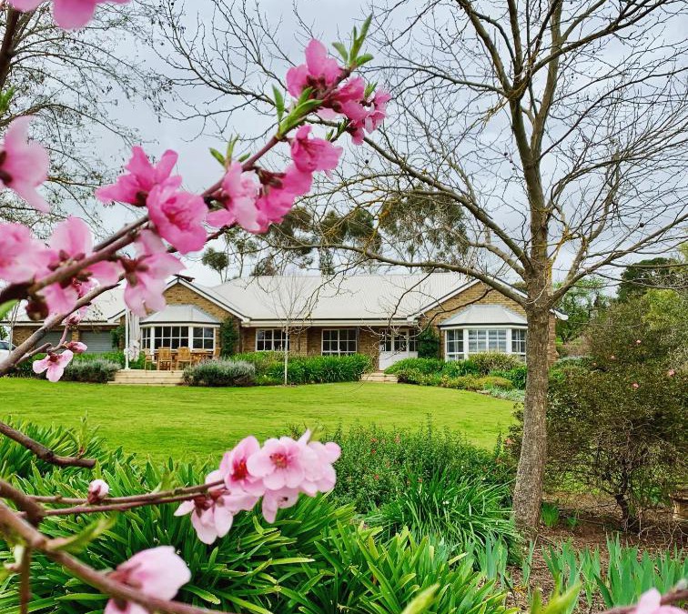 Seppeltsfield House | Seppeltsfield Vineyard Retreat - 3 Bedroom Holiday Home