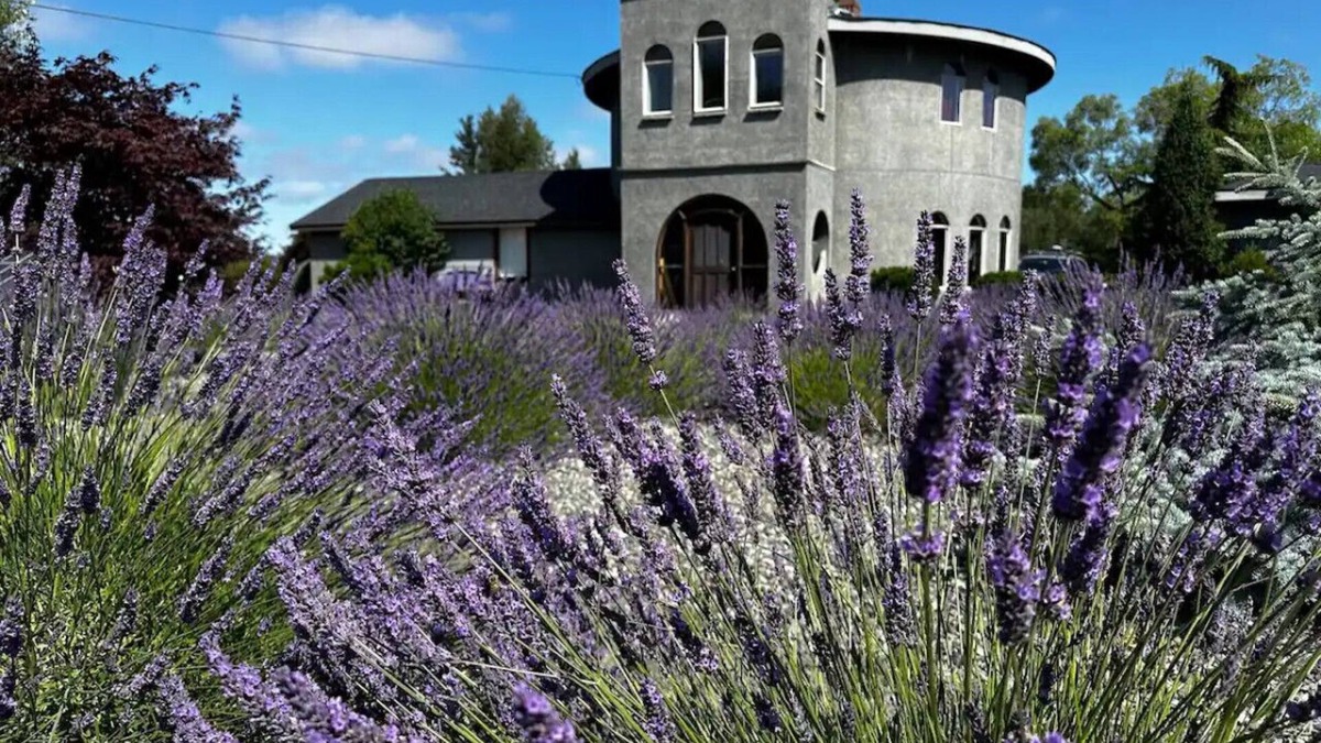 Sequim Other | Sequim Lavender Castle