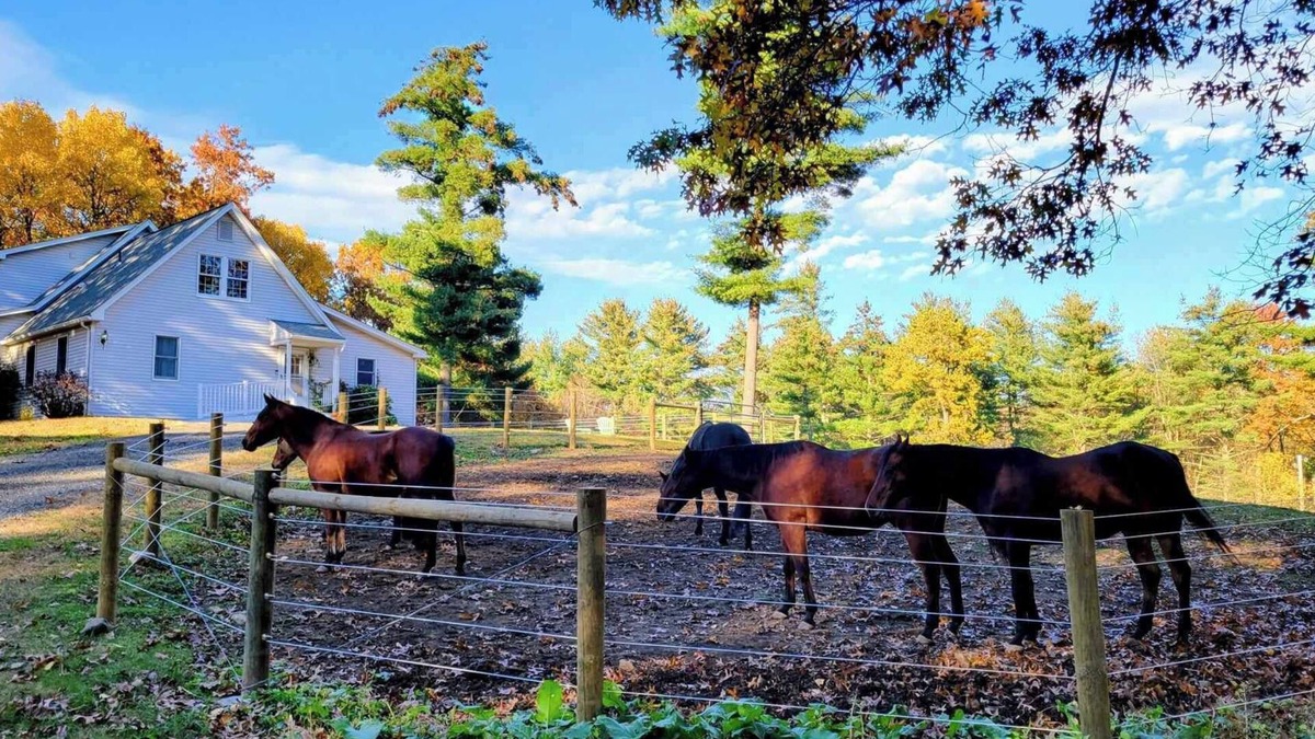 Belchertown Apartment | Serene 1-bedroom suite on 65 acre horse property