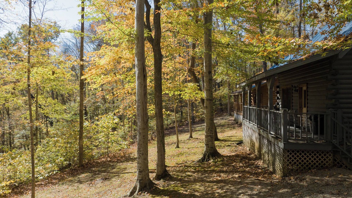 Jamestown Cabin | Serene 3 Bed Log Cabin at Jamestown Marina, Tucked Away in a Wooded Area #303