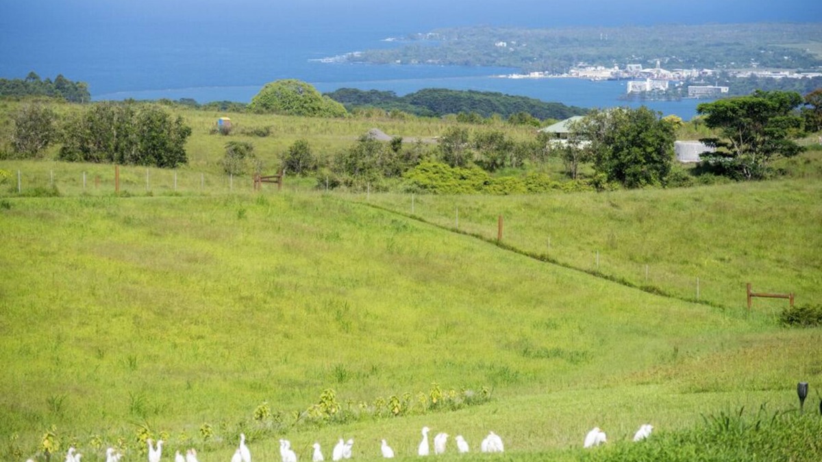 Hilo House | Serene Hawaiian Eco Village 15 minutes from Hilo