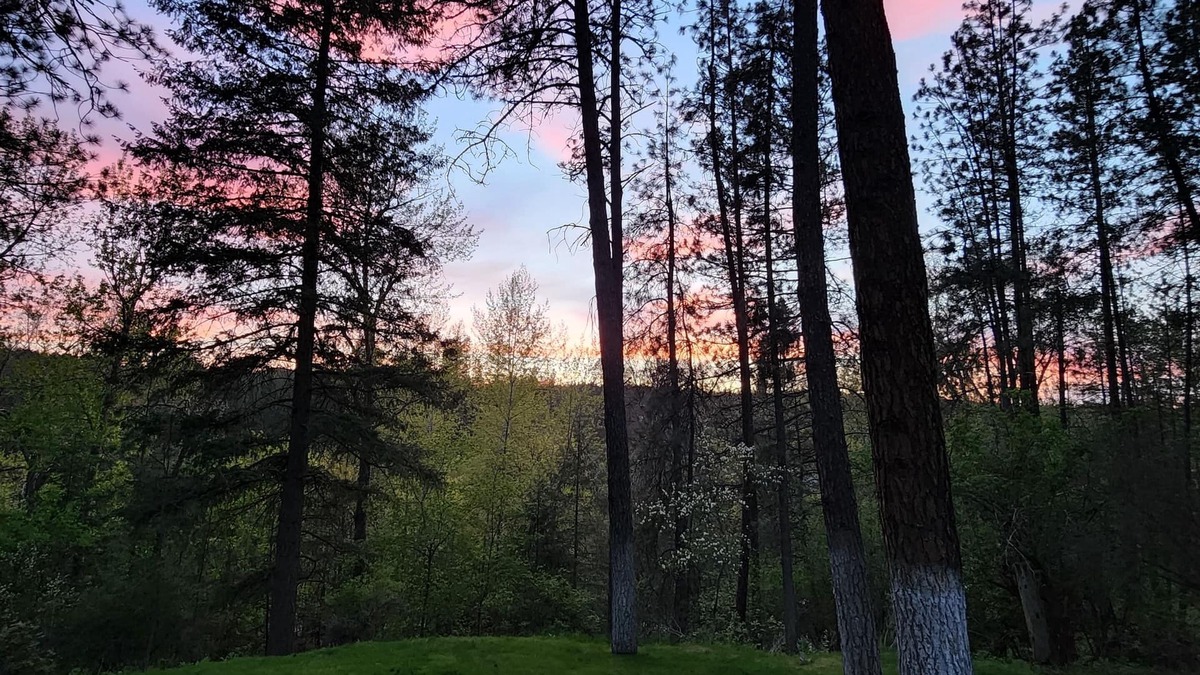 Colbert Apartment | Serene Hideaway near nature and the Little Spokane River