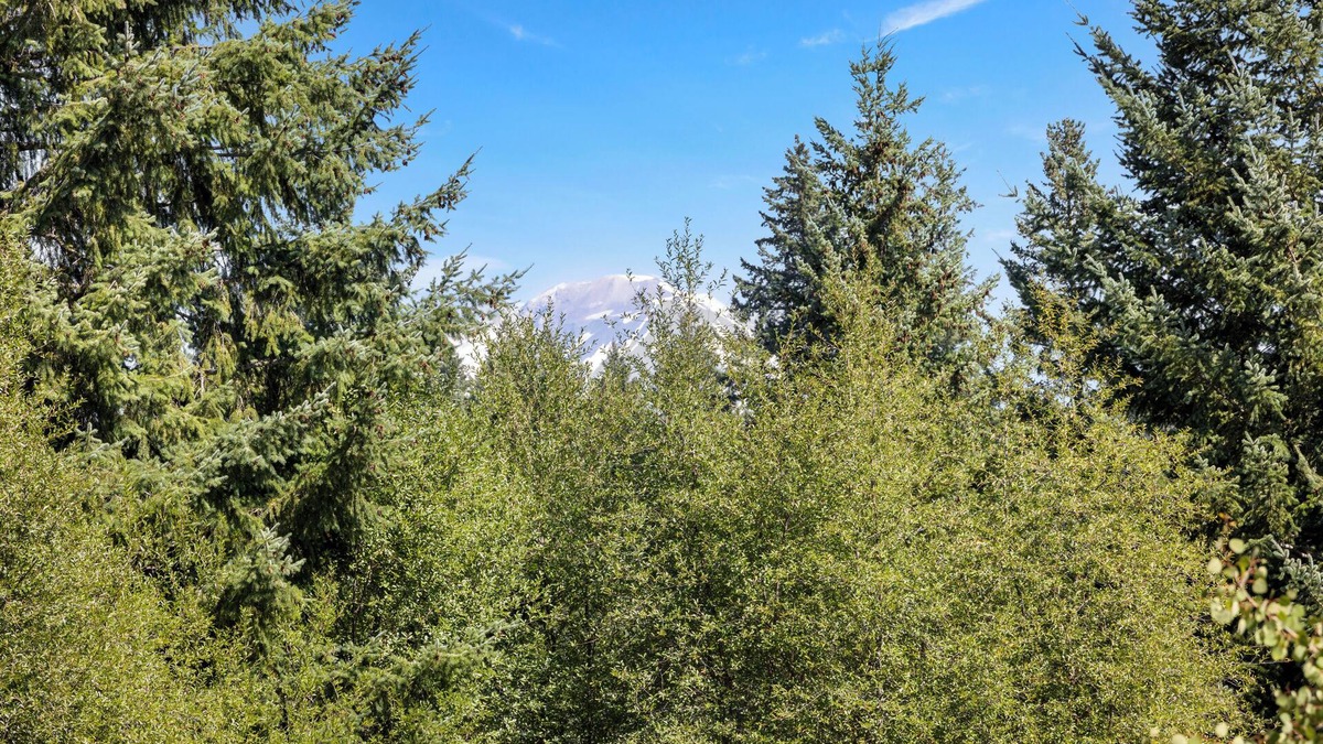 Husum House | Serene location, lawn games, private creek access, partial Mt. Adams view!
