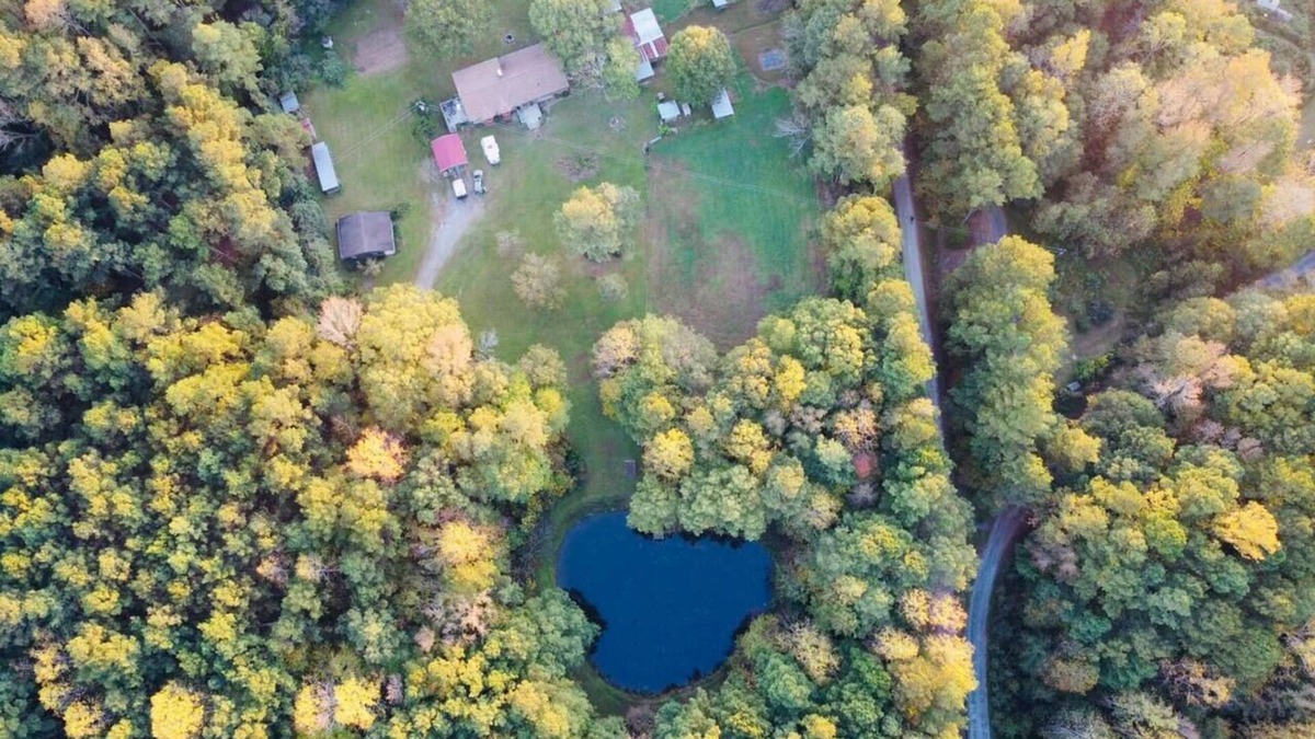 Apex House | Serene Log Home w pond, fenced-in yard & pastures
