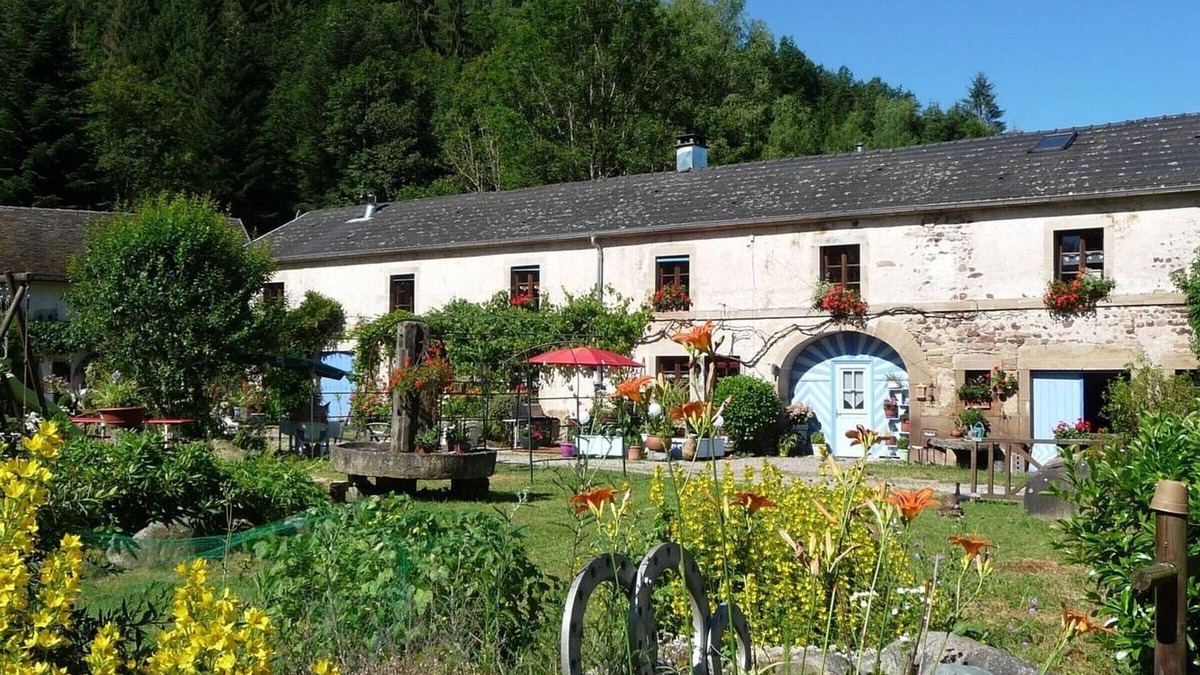 Esmoulieres Cottage | Serene Mill in Southern Vosges - Authentic and Modern Cottage