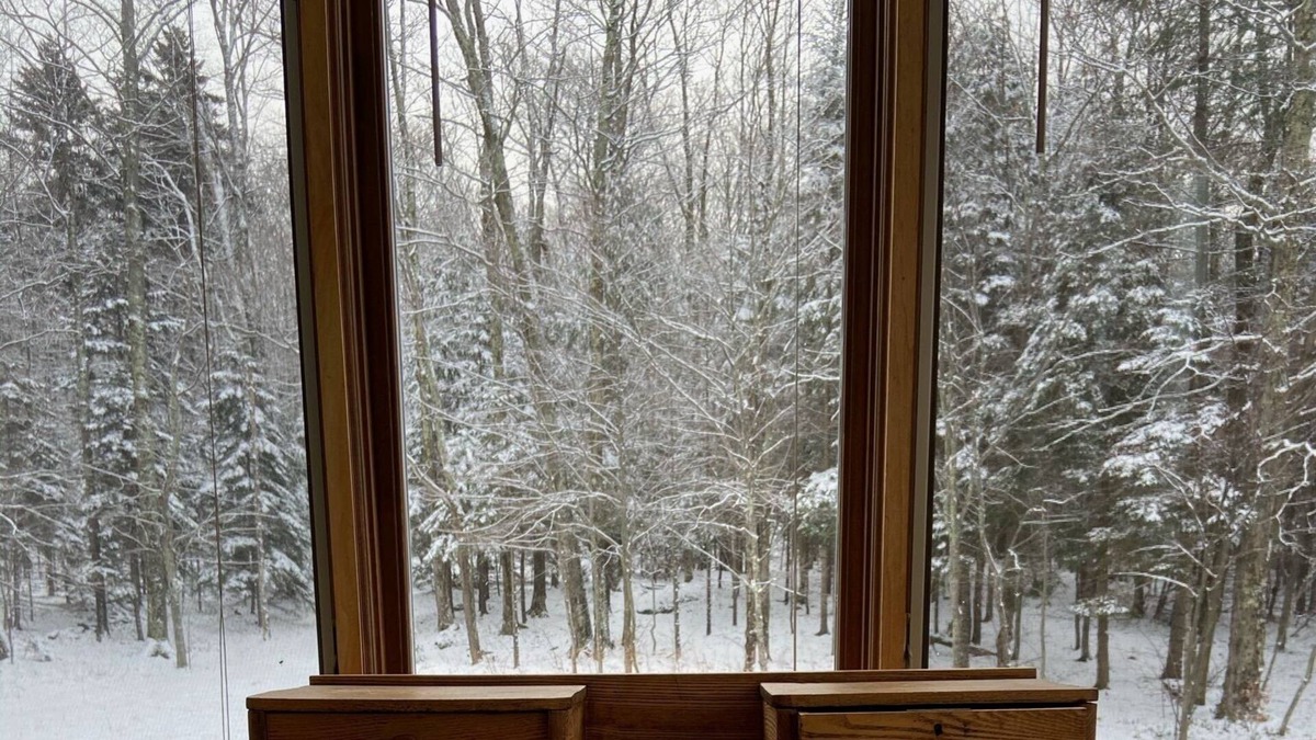 Montgomery Center Cabin | Serene Mountain Cabin on 25 Acres with Private Pond