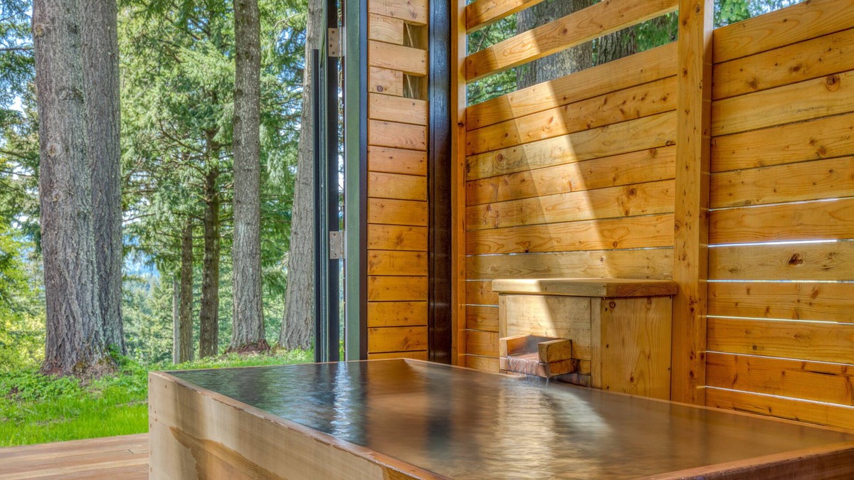 Stevenson Cabin | Serene mountain-view cabin with geothermal hot tub, indoor steam sauna & deck