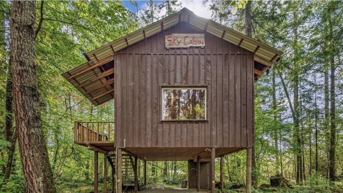 Castle Rock Cabin | Serene Sky Cabin in Castle Rock. 1bed/1bath + a loft , private, pet friendly