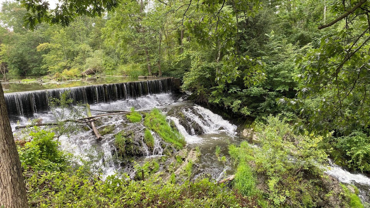 Germantown House | Serene Waterfall!