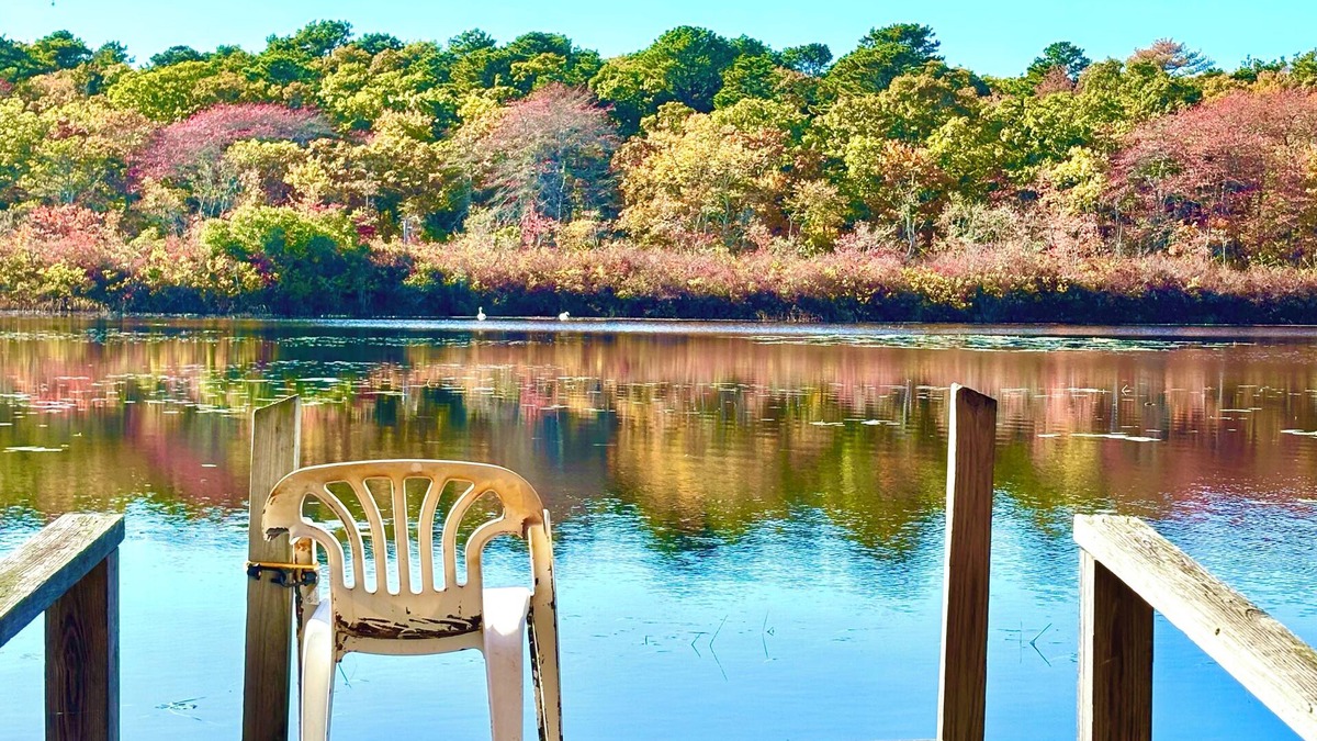 Hyannis House | Serene Waterfront Cottage, Private Dock, Walk to Beach, Golf, Ferry, Cafe & Shop