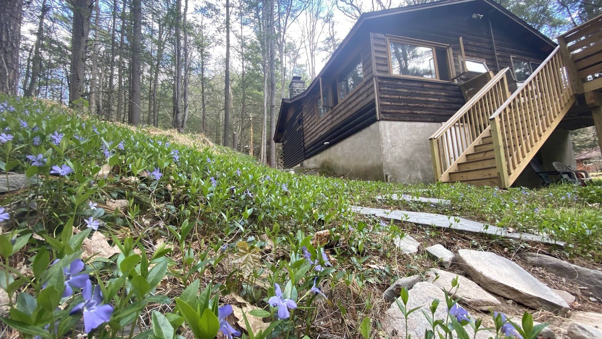 Barryville Cabin | Serene Waterfront Log Cabin on 1 Wooded Acre with NEW REDUCED RATES FOR 2024!