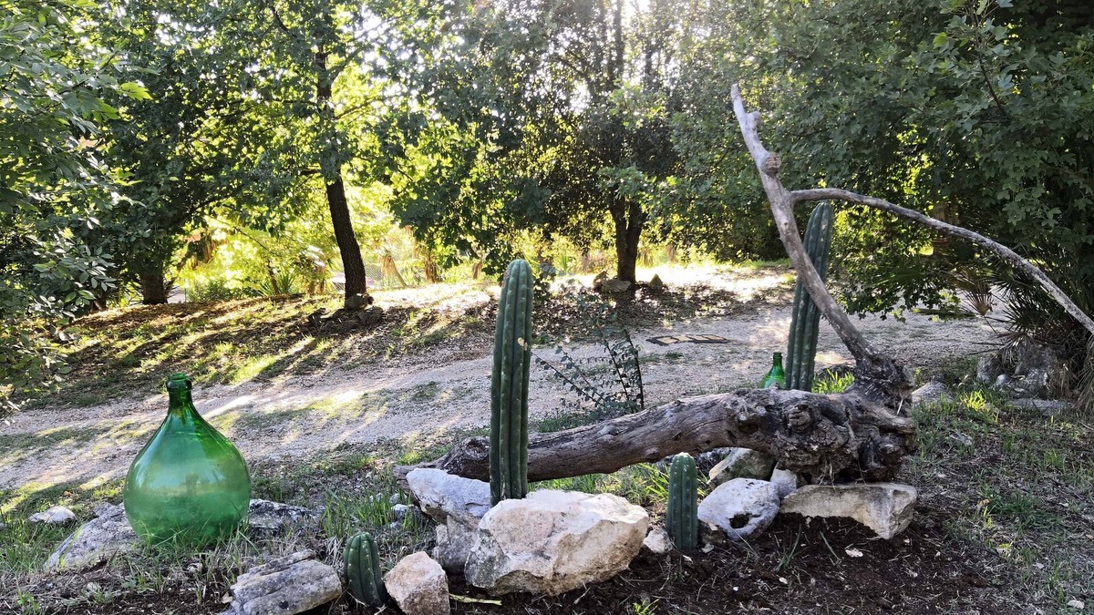 Roccagorga Apartment | Serenella apartment in the nature between sea and mountain