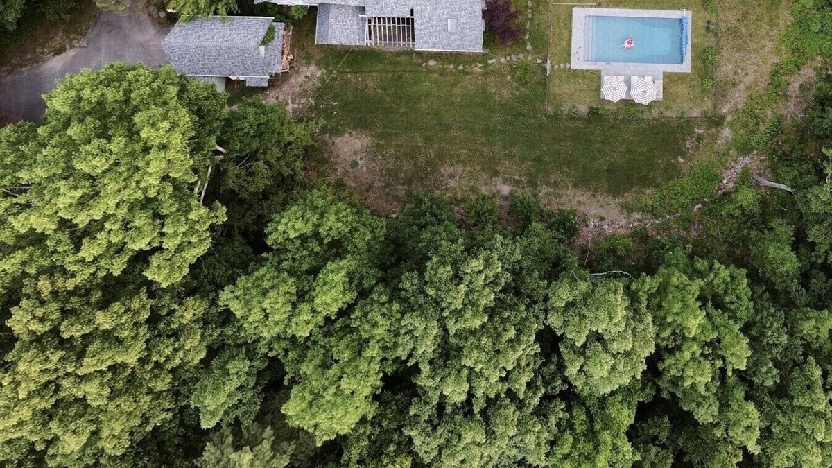 Mount Marion Cabin | Serenity Cabin- a beautiful family friendly home