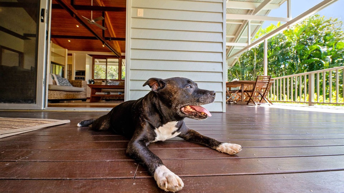 Mudjimba House | Serenity - Eco friendly, pet friendly beach house with pool