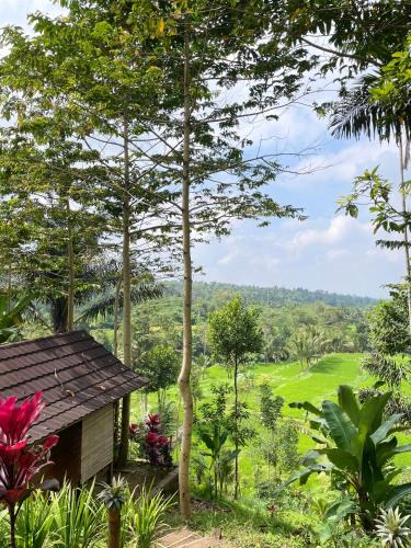 Tetebatu House | Serenity Lodge Tetebatu Lombok