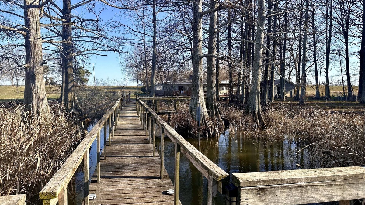 Grace House | Serenity on Lake Washington. Perfect for anglers or friends/family getaway.