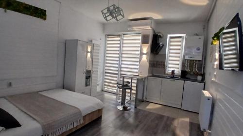 Popesti-Leordeni Apartment | Sfanta Agnes self check in