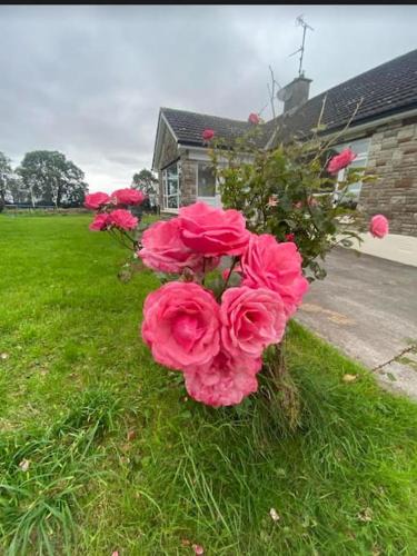 Ballyheelan House | Sheelin Side House