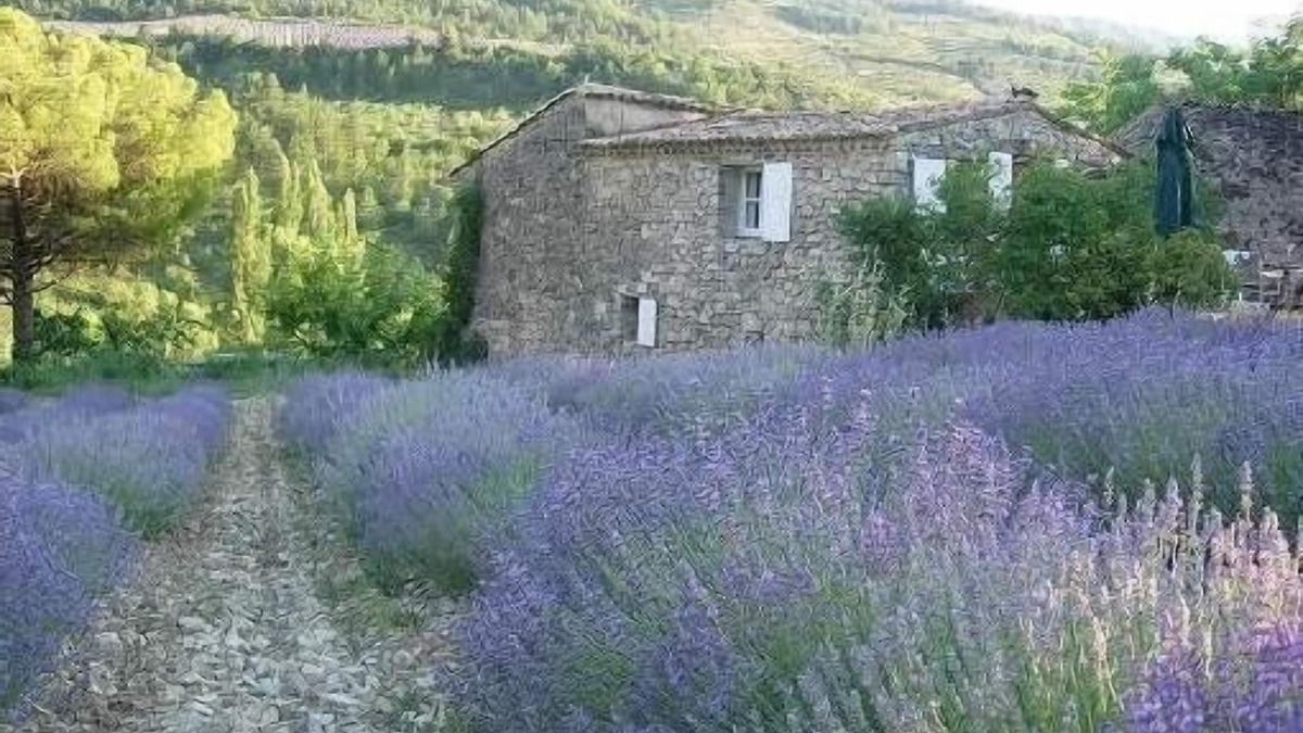 Sainte-Euphemie-sur-Ouveze Other | Sheepfold restored In Provence near Vaison la Romaine and Mont Ventoux