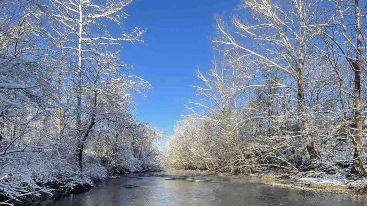 Edinburg Cottage | Shenandoah Farm Cottage. River Access , Sweeping Mountain Views and Pet Friendly