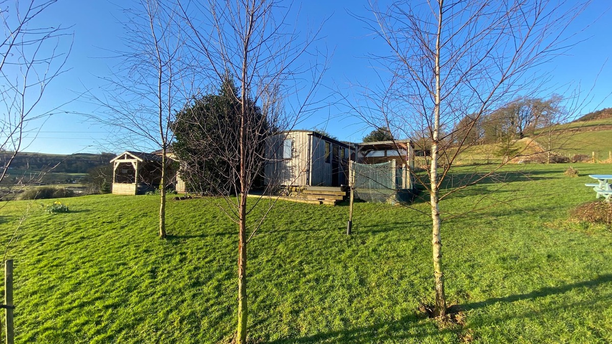 Newbridge Cabin | Shepherds Hut-1 Bed-Hot Tub -views