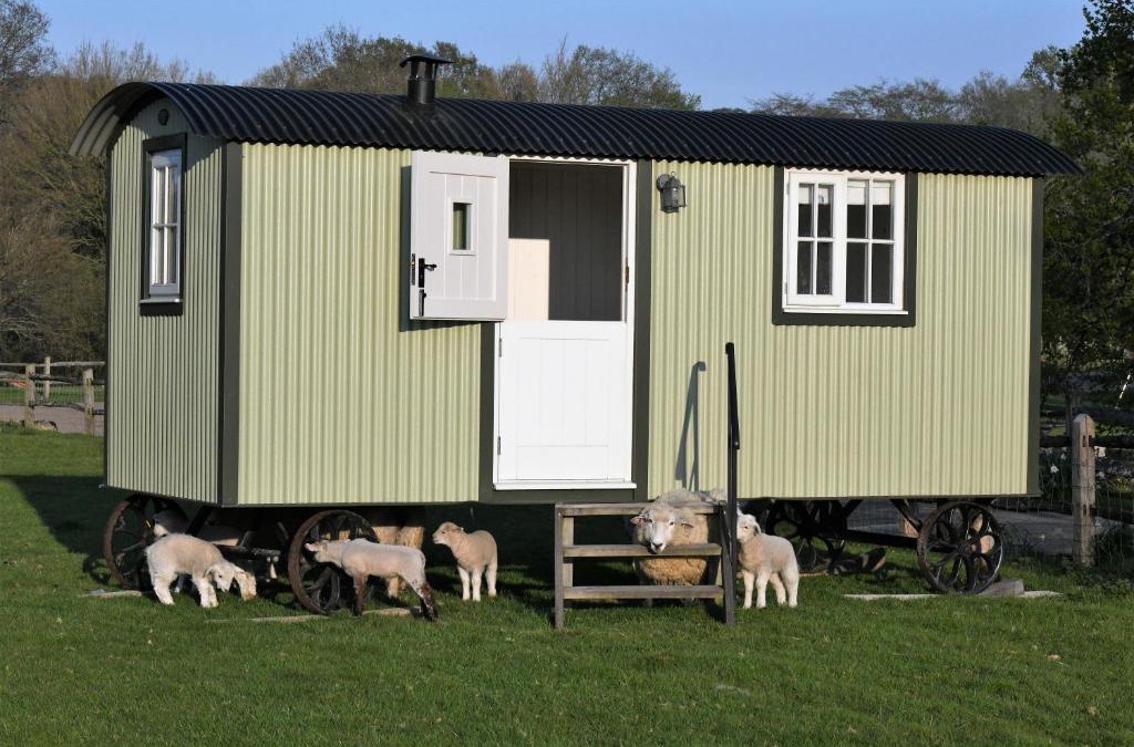 Tenterden House | SHEPHERDS HUT