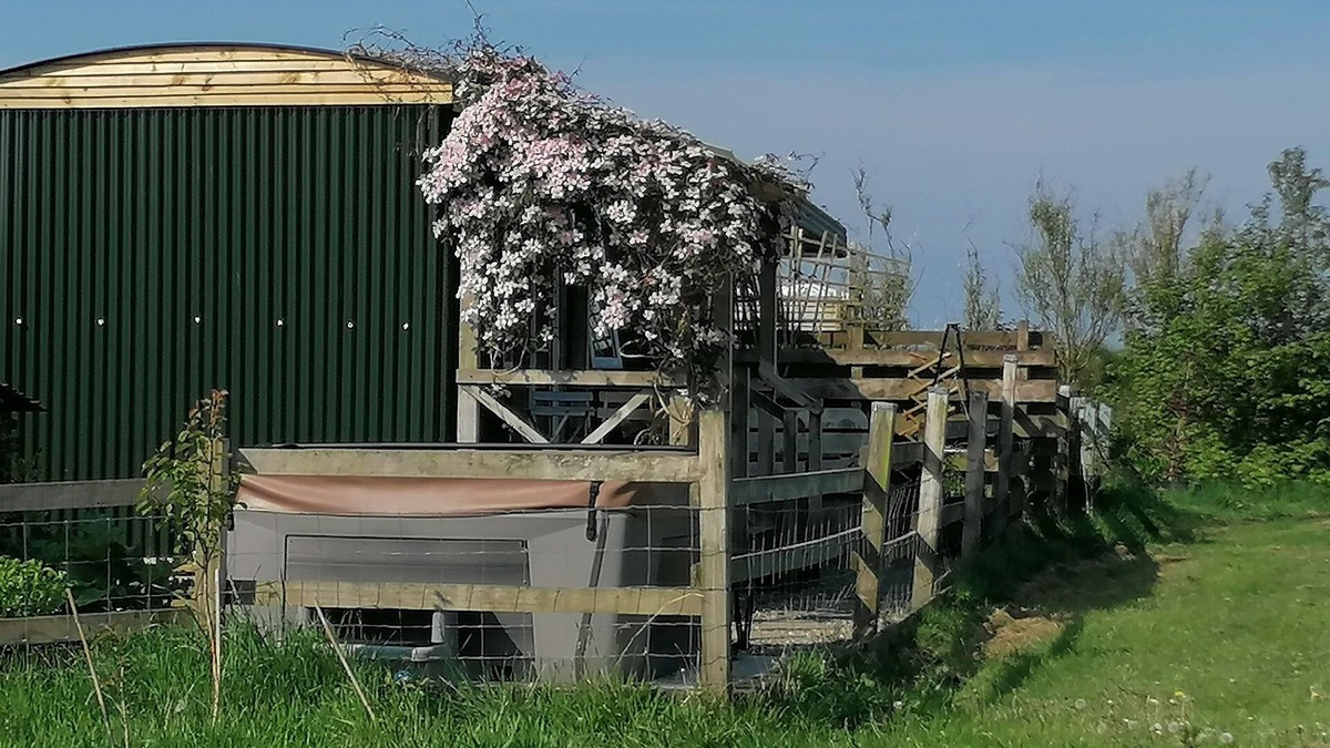 Maenclochog House | Shepherds Hut with stunning Pembrokeshire hill views