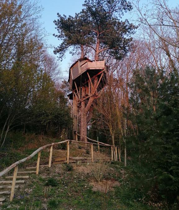 Etretat Bed & Breakfast | SHERWOOD TREE