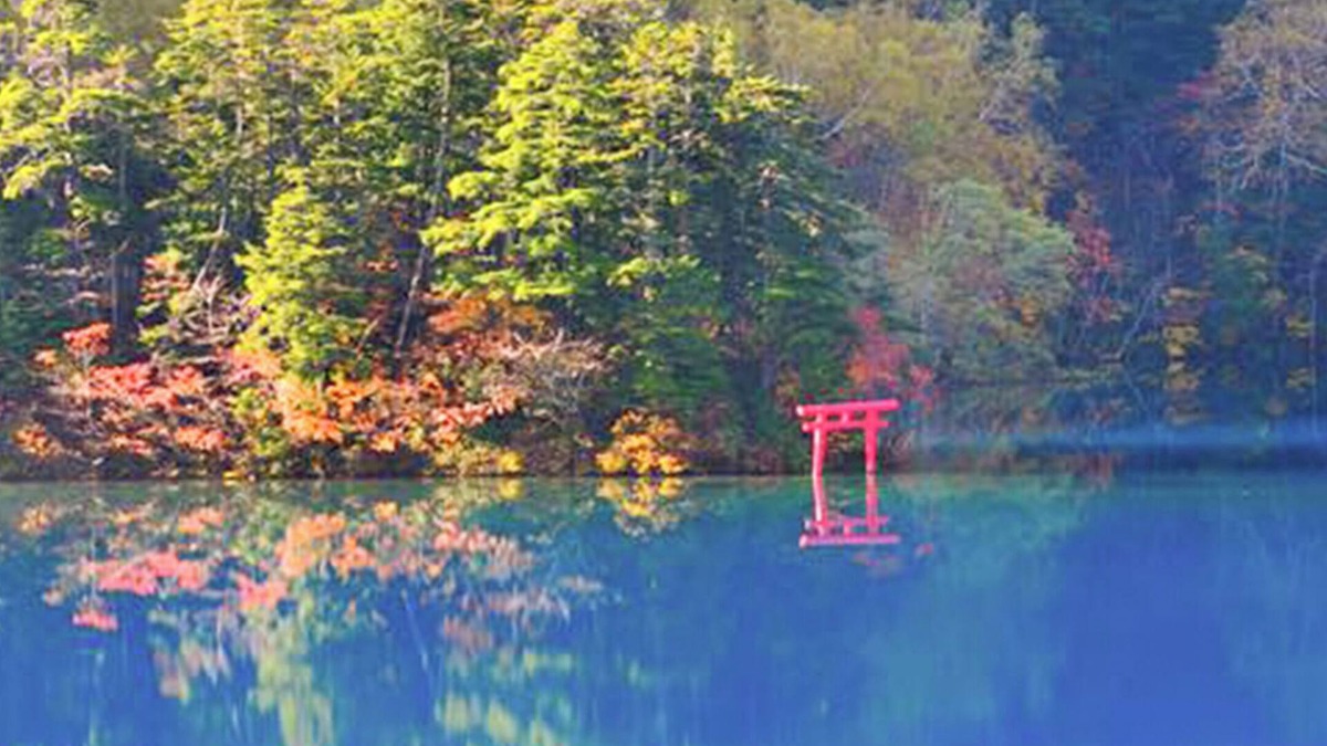 Shiga Highlands Hotel | Shigakogen Lodge