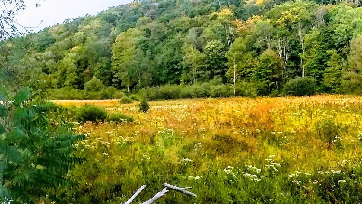 Conewango Valley RV Rental | ShineOn Valley- Back Bottom Camp