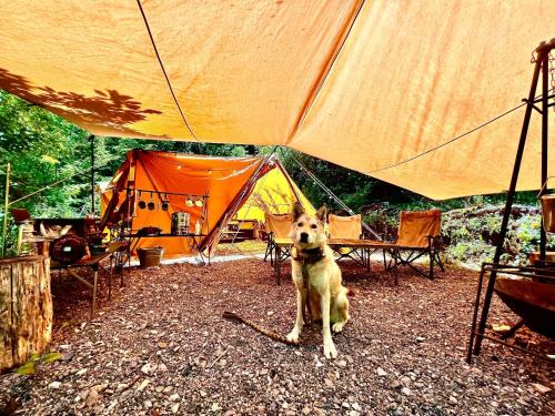 Shirasu Other | Shirasu-Ojiro FLORA Campsite in the Natural Garden - Vacation STAY 70013v