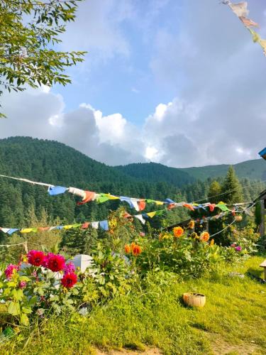 Patnitop Other | Shiva Cafe and Stays