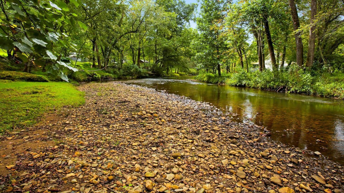 Hayesville Cabin | Shooting Creek Cottage Walk n' Creek Fronatge! Close to Lake Chatuge! Fish WiFi