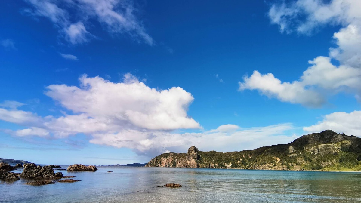 Taupo Bay House | Shore Beats Work Taupo Bay