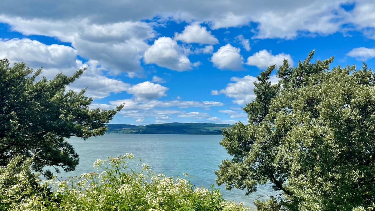 Tighnabruaich Ski Chalet | Shore front location on Loch Fyne, sleeps 4, log fire