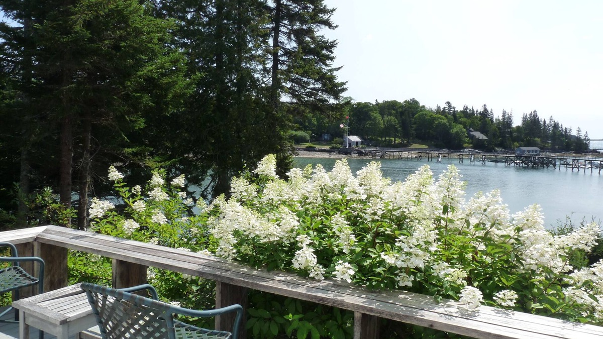 Northeast Harbor Apartment | Shorefront Apartment attached to cottage with OCEAN VIEWS, close to Acadia