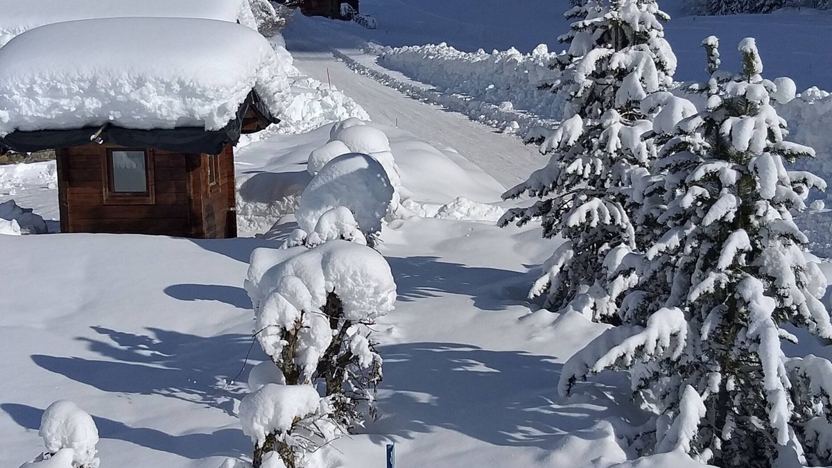 Le Grand-Bornand Apartment | SHUTTLE BUS AT THE FOOT OF THE CHALET PETS WELCOME