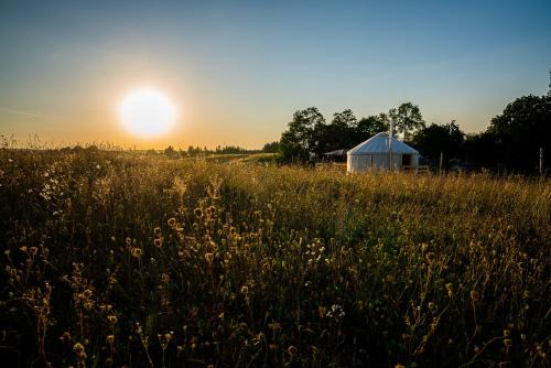 Walne House | Siedlisko pod Krukiem - Jurta