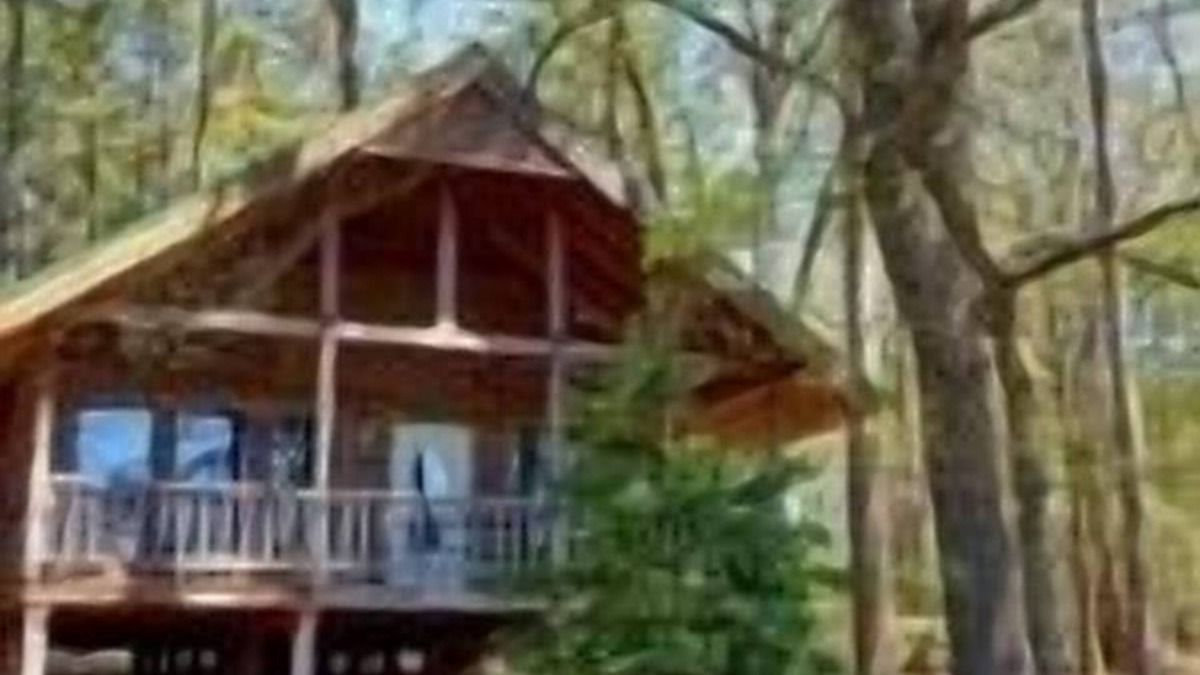 Battiest Cabin | Sierra Escape Cabin with Fire Pit and Charcoal Grill by RedAwning