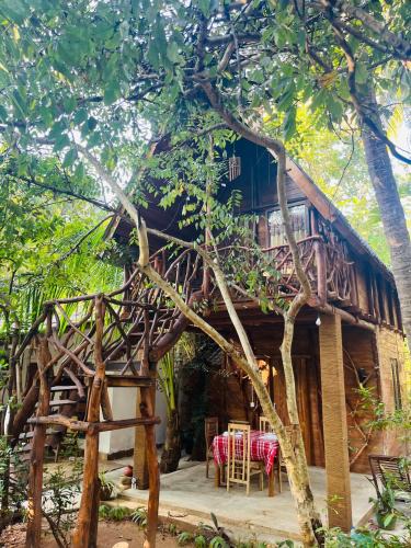 Kimbissa House | Sigiri Lodge Tree House