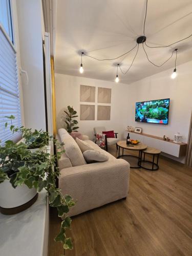 Krynica-Zdroj Apartment | Silent Apartament