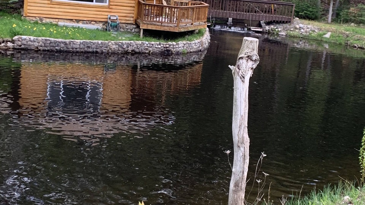 Black River Cabin | Silver creek cabin
