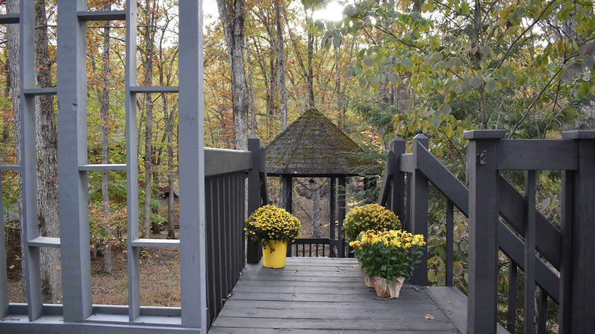 Bushkill House | Silver Fox Water Front SsMook Lux Pocono Home, HOT TUB, SAW CREEK FRONT