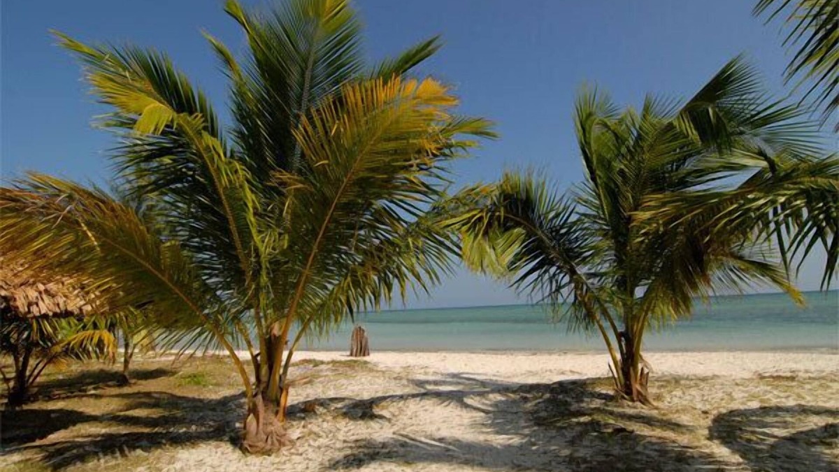 Havelock Island Hotel | SilverSand Beach Resort