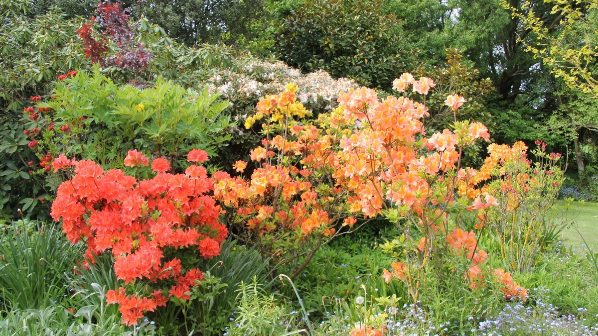 Kaiapoi Other | Silverstream Alpaca Farmstay and Tour