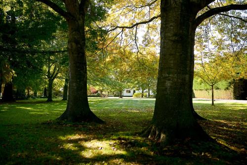 Lincoln Cabin | Silverstream Lodge