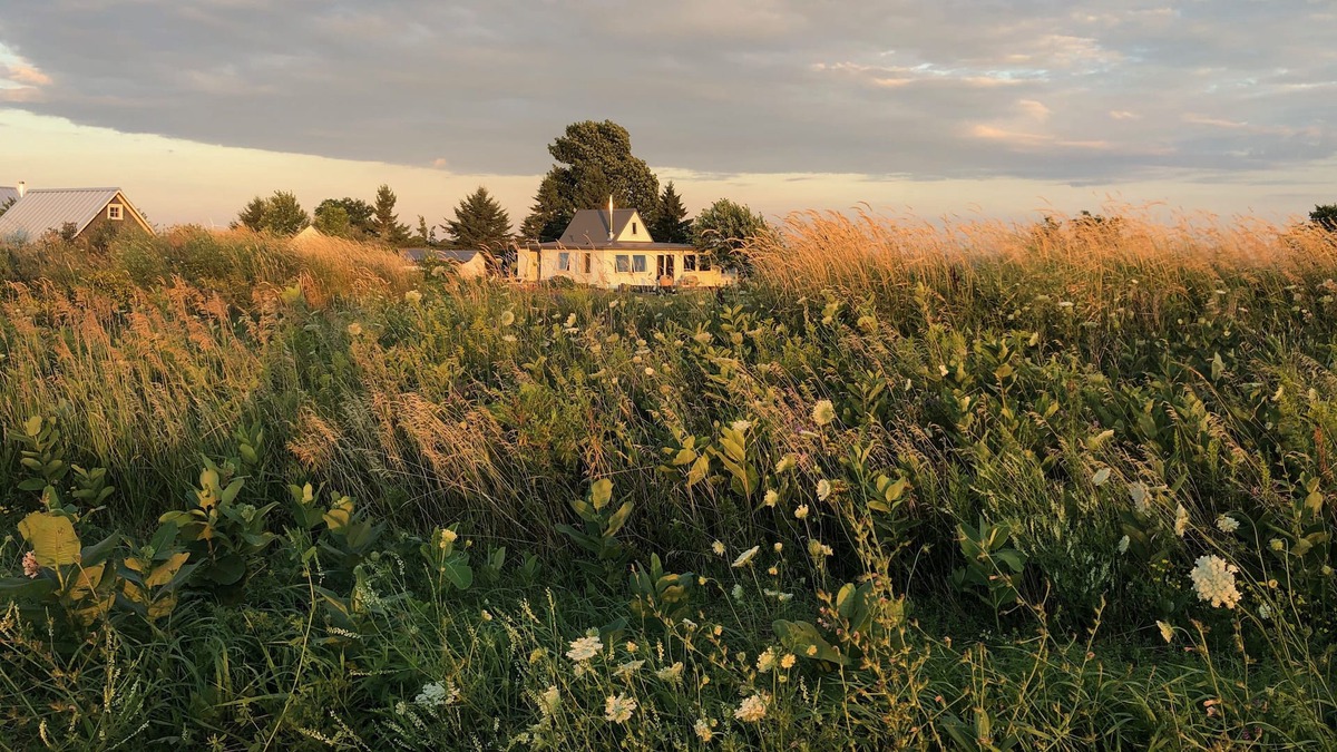 Wolfe Island Cottage | Simcoe Island retreat